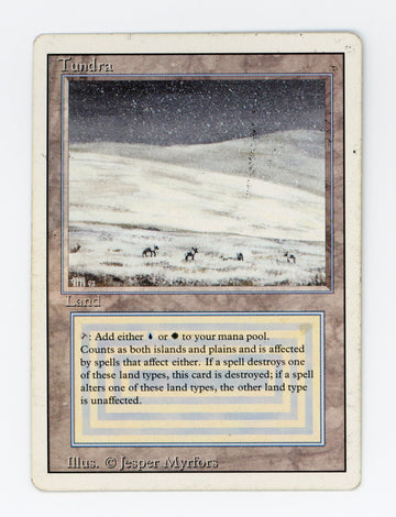 Tundra — ID 17408