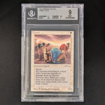 Camel - Arabian Nights - English - BGS 9