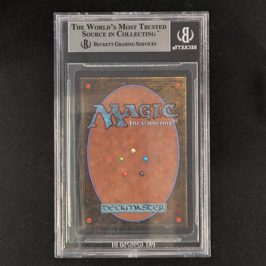 Wyluli Wolf - Arabian Nights - English - BGS 9