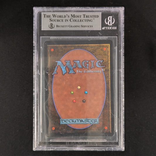 Wyluli Wolf - Arabian Nights - English - BGS 9