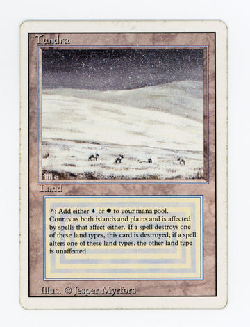 Tundra — ID 17406