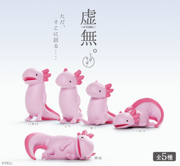 Void Axolotl Blind Box