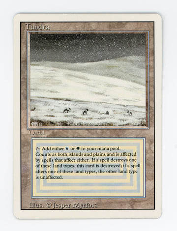 Tundra — ID 17528