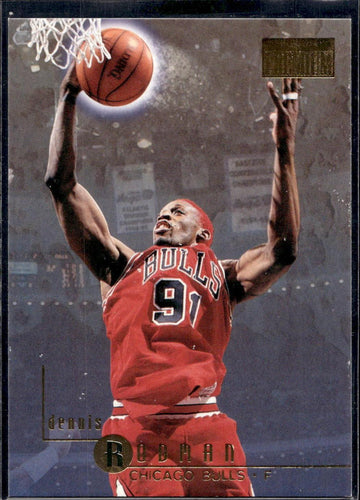 1996-97 SkyBox Premium #19 Dennis Rodman