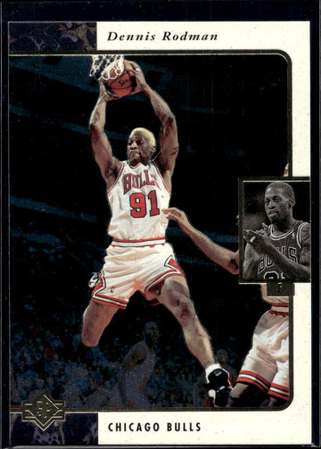 1995-96 SP #22 Dennis Rodman