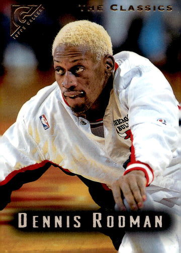 1995-96 Topps Gallery #90 Dennis Rodman
