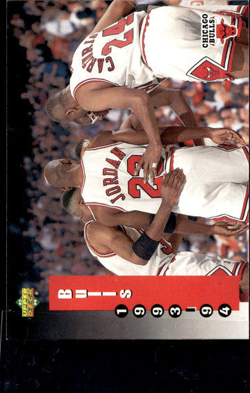 1993-94 Upper Deck #213 Chicago Bulls