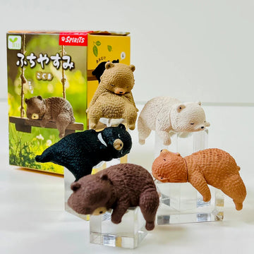Playful Hanging Bear Blind Pack