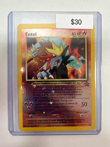 Pokemon Entei 34