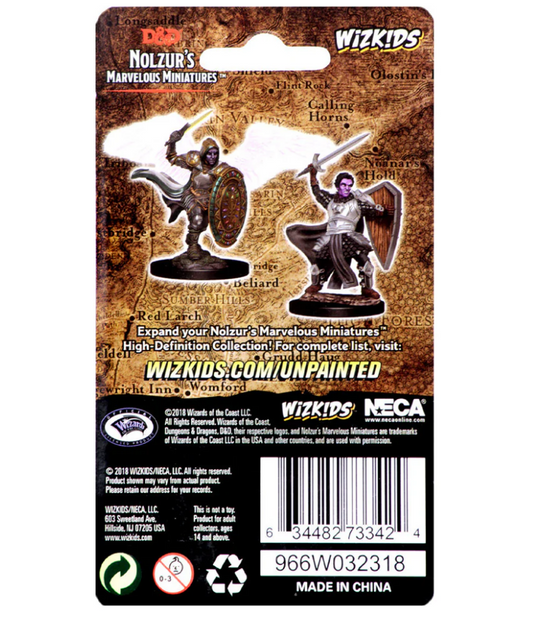 Dungeons & Dragons: Nolzur's Marvelous Unpainted Miniatures - W05 Aasimar Male Paladin