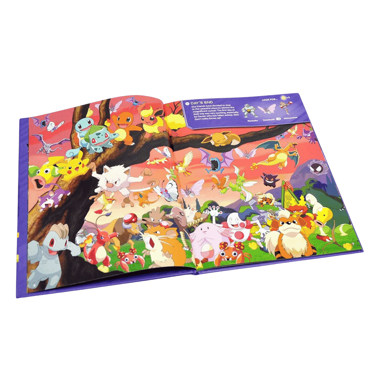 Pokemon Seek And Find Kanto