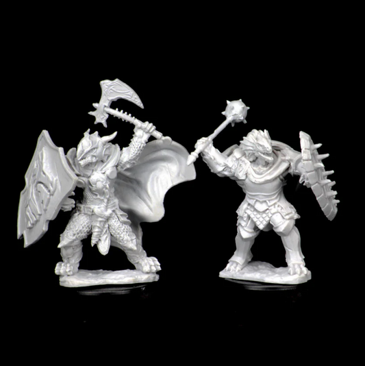 Dungeons & Dragons: Nolzur's Marvelous Unpainted Miniatures - W04 Dragonborn Male Paladin
