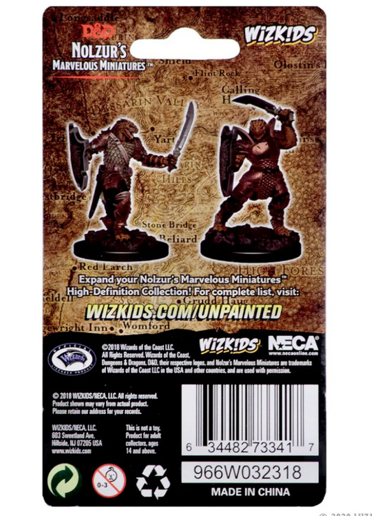 Dungeons & Dragons: Nolzur's Marvelous Unpainted Miniatures - W05 Dragonborn Female Paladin