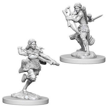 Dungeons & Dragons: Nolzur's Marvelous Unpainted Miniatures - W04 Air Genasi Female Rogue