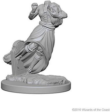 Dungeons & Dragons: Nolzur's Marvelous Unpainted Miniatures - W01 Ghosts