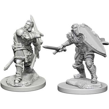 Dungeons & Dragons Nolzur's Marvelous Unpainted Miniatures: W3 Human Male Paladin