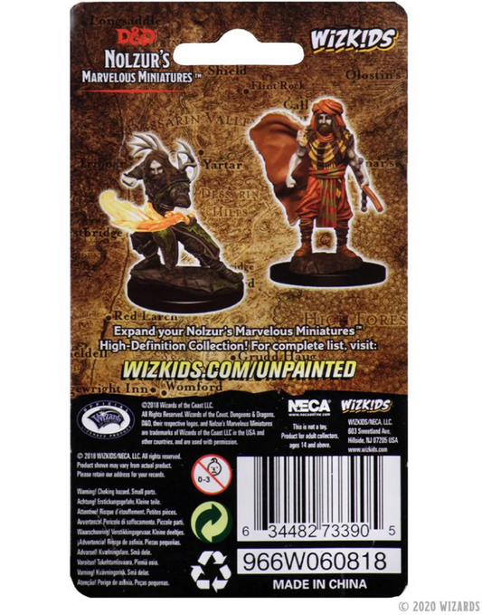 Dungeons & Dragons: Nolzur's Marvelous Unpainted Miniatures - W06 Male Human Druid