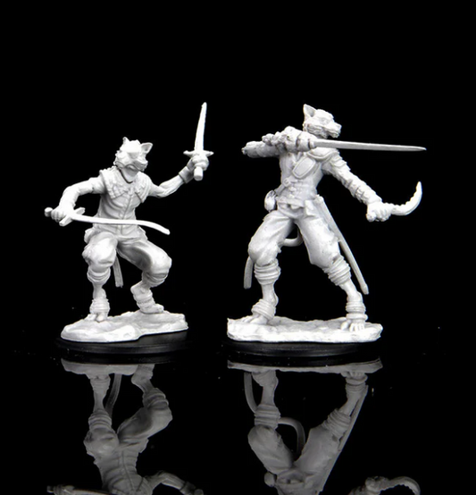 Dungeons & Dragons: Nolzur's Marvelous Unpainted Miniatures - W07 Tabaxi Male Rogue