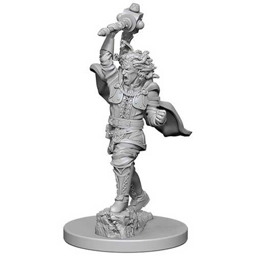 Dungeons & Dragons: Nolzur's Marvelous Unpainted Miniatures - W04 Medusas