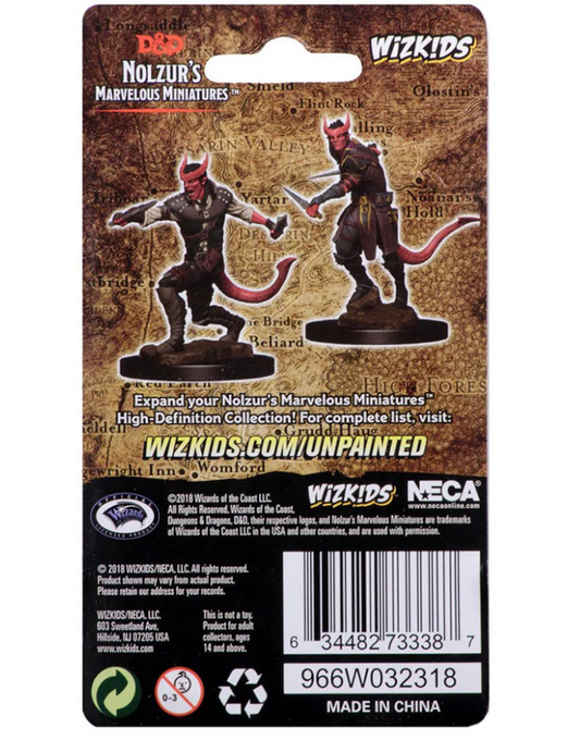 Dungeons & Dragons: Nolzur's Marvelous Unpainted Miniatures - W05 Tiefling Male Rogue
