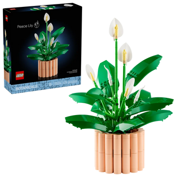 Peace Lily